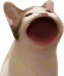 CET